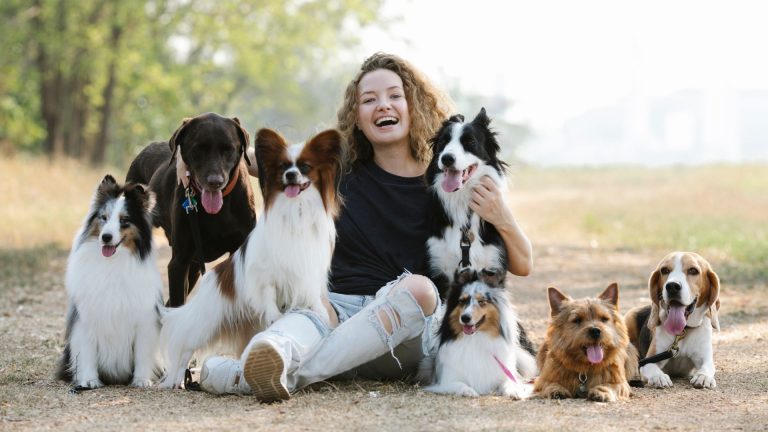 weekend-ktory-zmienia-relacje-z-psem-pierwsza-edycja-psiej-akademii